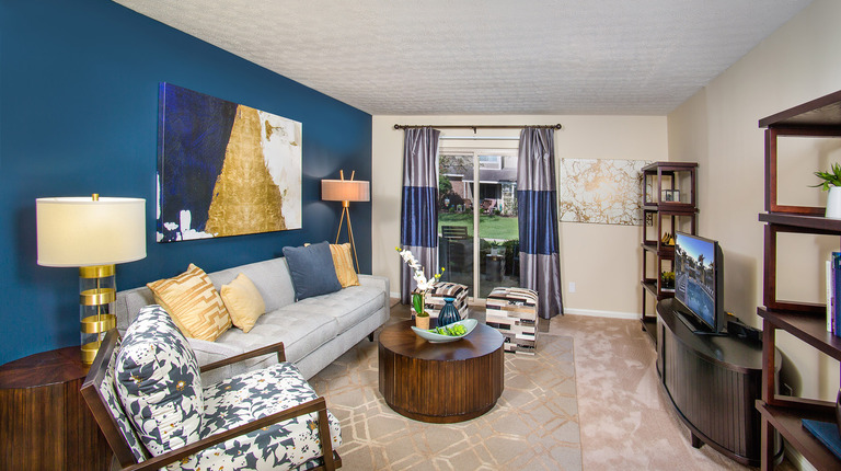 Bright Living Room with Accent Wall