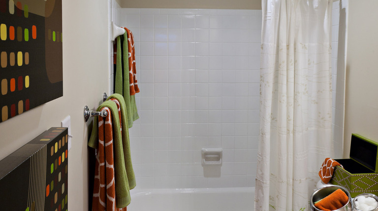 Bathroom with Tub Shower