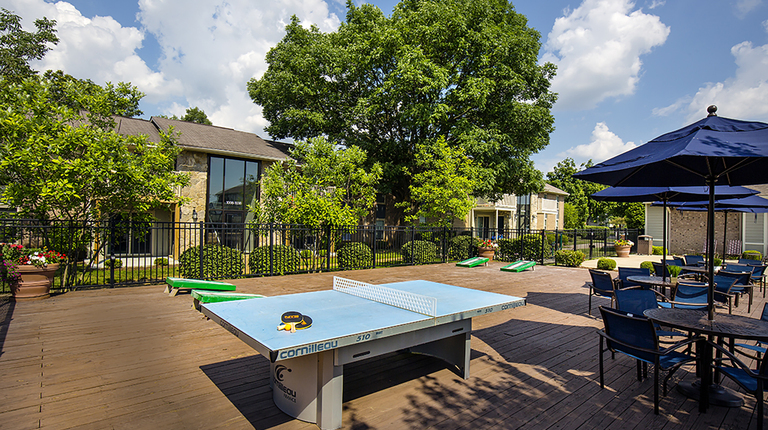 Outdoor Entertainment Area with Ping Pong and Games